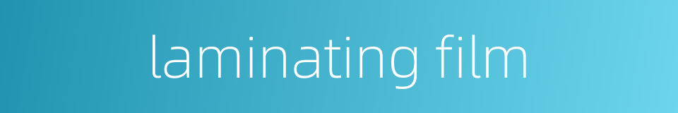laminating film的同义词