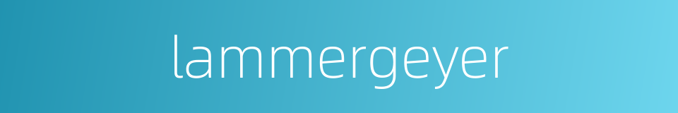 lammergeyer的同义词
