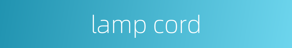 lamp cord的同义词