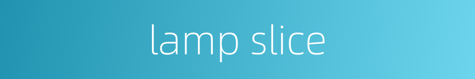 lamp slice的同义词