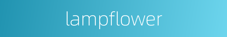 lampflower的同义词