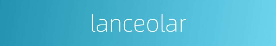 lanceolar的同义词
