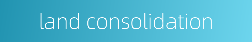 land consolidation的同义词