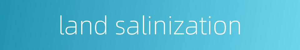 land salinization的同义词