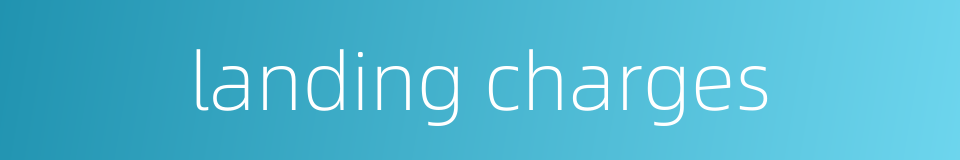 landing charges的同义词