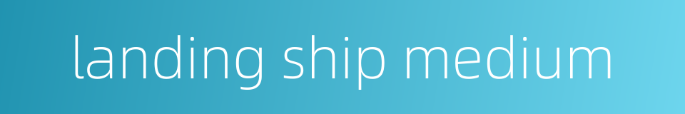 landing ship medium的同义词