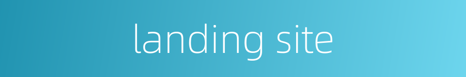 landing site的同义词