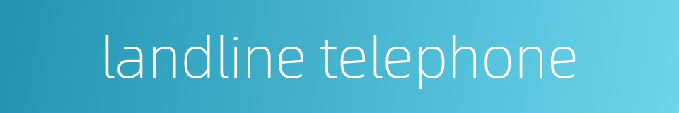 landline telephone的同义词