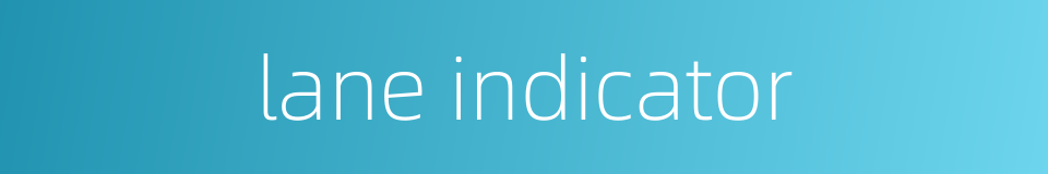 lane indicator的同义词