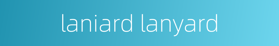 laniard lanyard的同义词