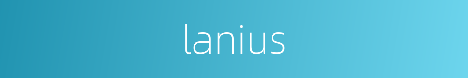 lanius的同义词