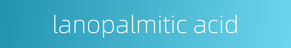 lanopalmitic acid的同义词