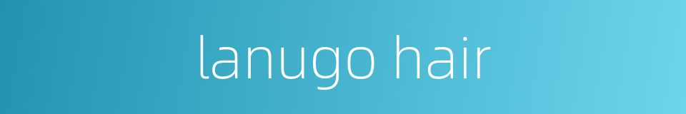 lanugo hair的同义词