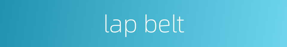 lap belt的同义词