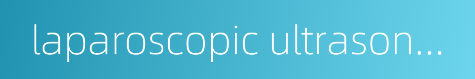 laparoscopic ultrasonography的同义词