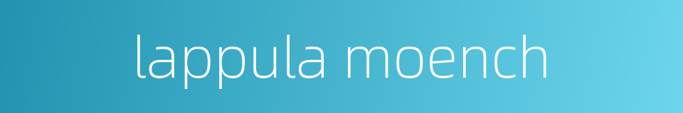 lappula moench的同义词