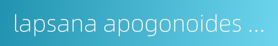 lapsana apogonoides maxim的同义词