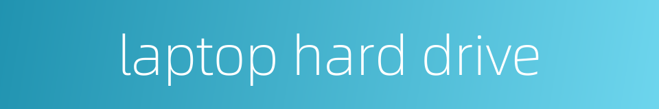 laptop hard drive的同义词