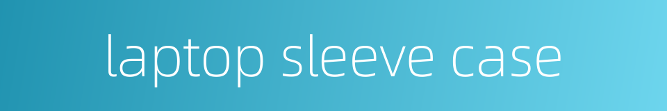 laptop sleeve case的同义词