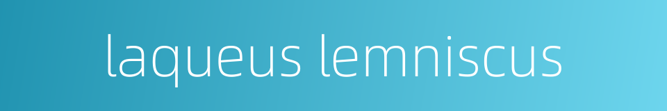 laqueus lemniscus的同义词