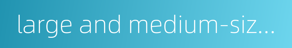 large and medium-sized cities的同义词