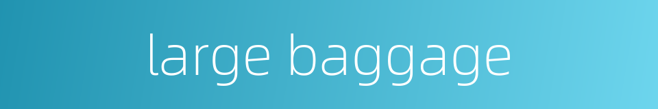 large baggage的同义词