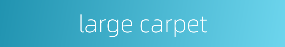 large carpet的同义词