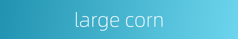 large corn的同义词