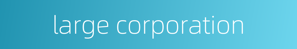 large corporation的同义词