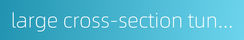 large cross-section tunnel的同义词