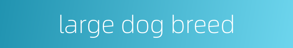 large dog breed的同义词