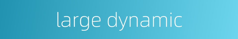 large dynamic的同义词
