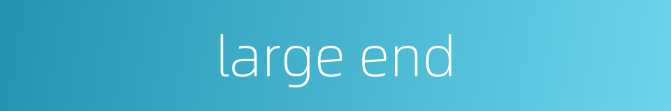 large end的同义词