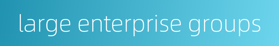 large enterprise groups的同义词