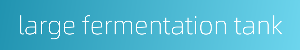 large fermentation tank的同义词