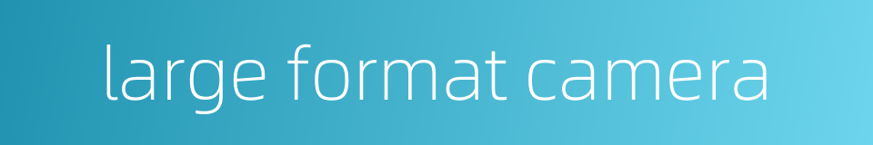 large format camera的同义词