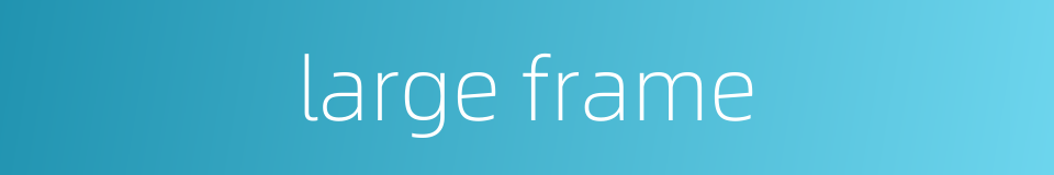 large frame的同义词