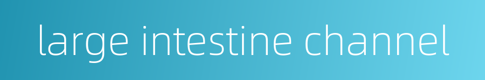 large intestine channel的同义词