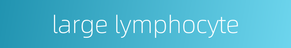large lymphocyte的同义词