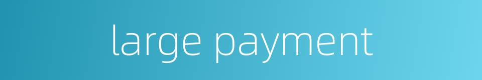 large payment的同义词