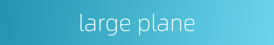 large plane的同义词
