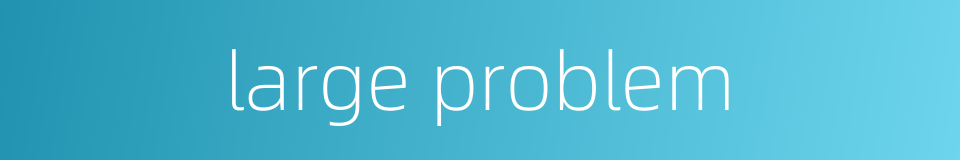 large problem的同义词