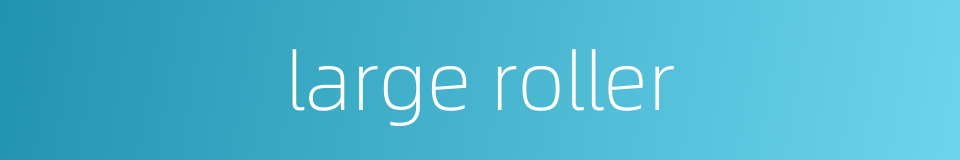 large roller的同义词