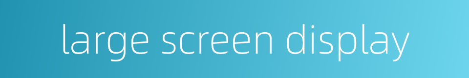 large screen display的同义词