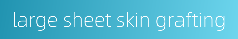 large sheet skin grafting的同义词