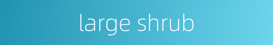 large shrub的同义词