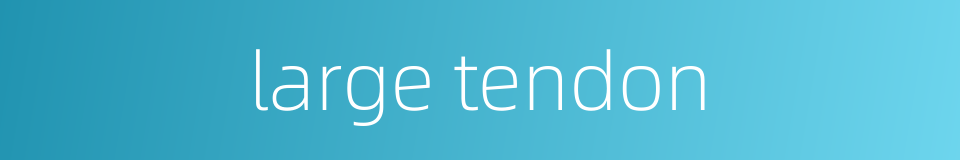 large tendon的同义词