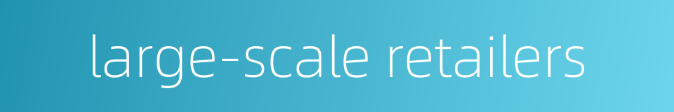large-scale retailers的同义词