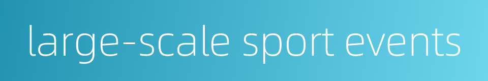large-scale sport events的同义词