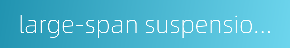 large-span suspension bridge的同义词